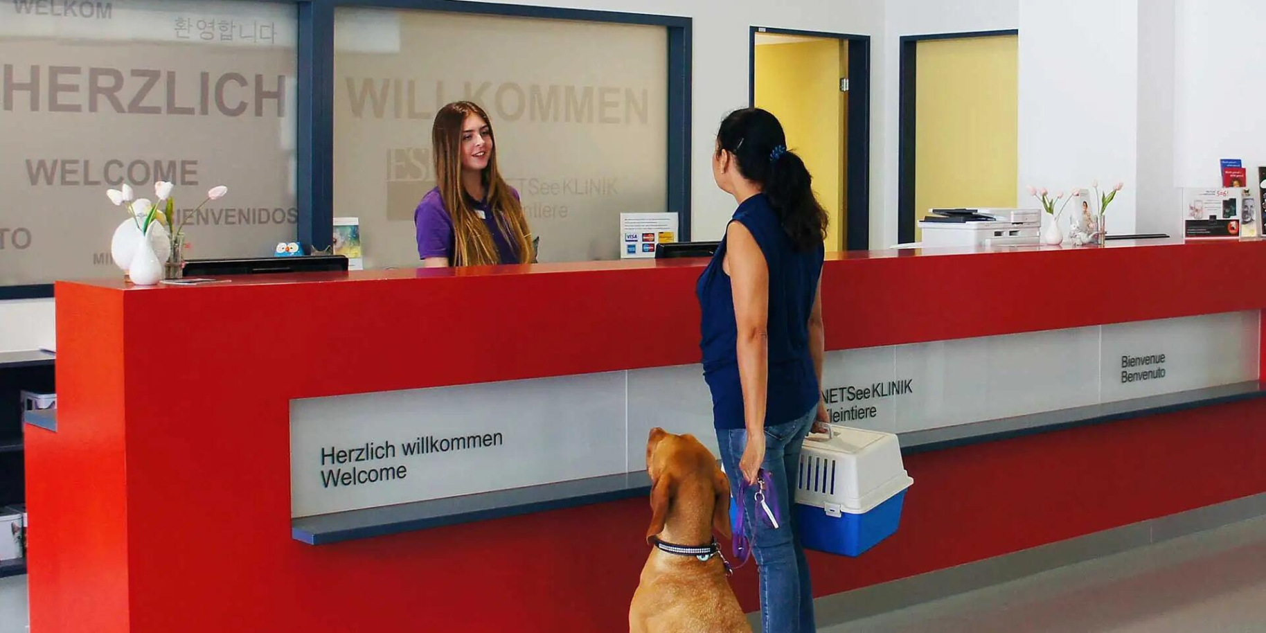 Teaserbild Ennetseeklinik für Kleintiere AG