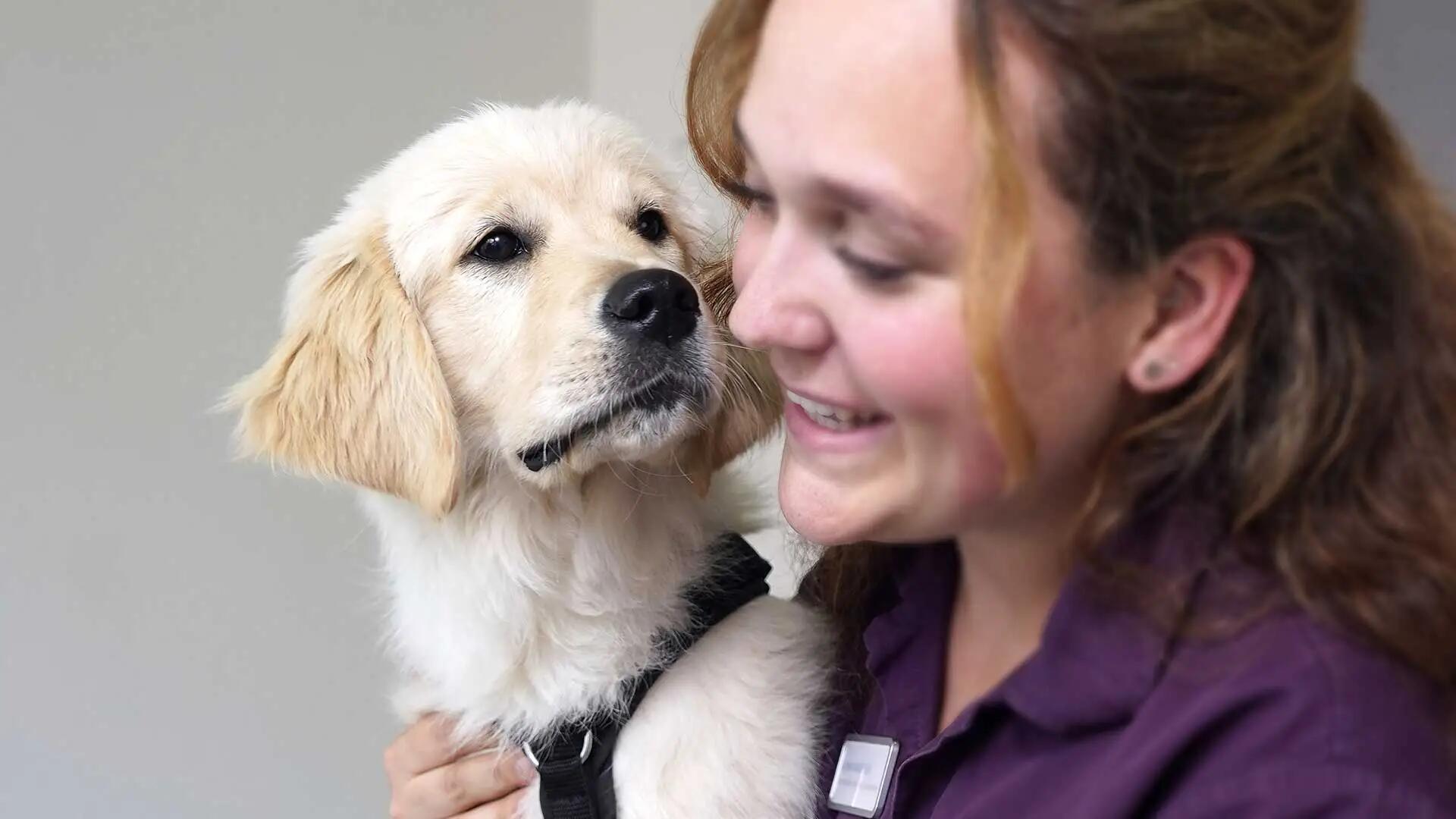 Ennetseeklinik für Kleintiere AG - unsere Vision